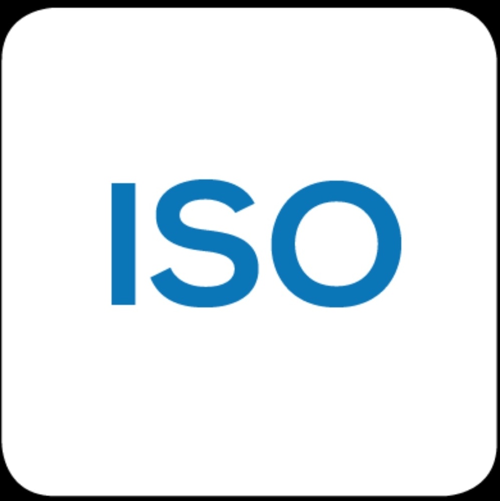 Torrid Bombshell Jeans - image 1